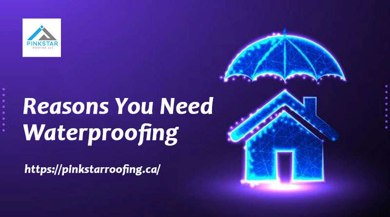 Reasons You Need Waterproofing