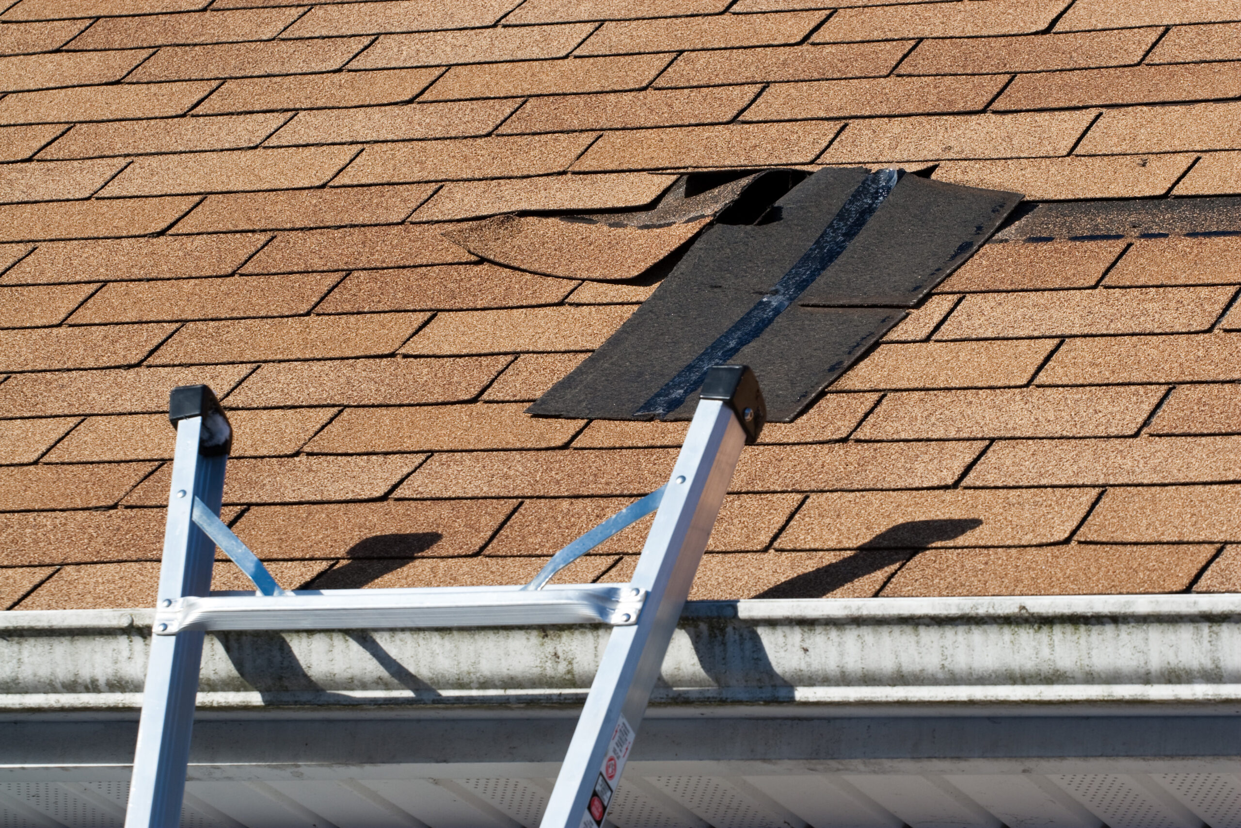 Roof Repair Kitchener
