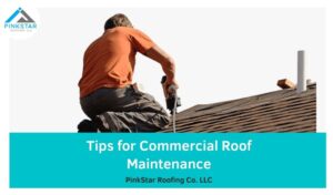 Tips for Commercial Roof Maintenance